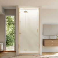 Душевая дверь распашная VN73RG/L-80-06-C4 800x1950 Цвет профиля Золото брашинг Стекло Дождь Veconi